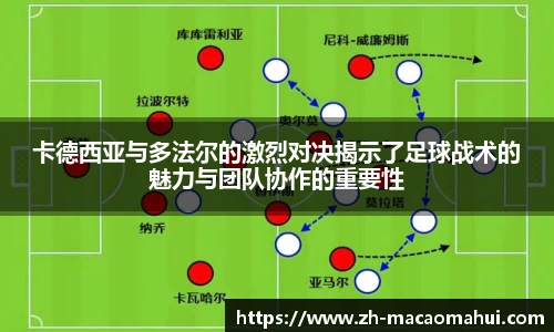 澳门600图库