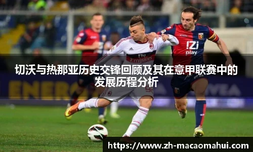 600图库